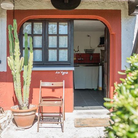Bed and Breakfast La Fattoria Di Nonna Eugenia Lerici Zewnętrze zdjęcie