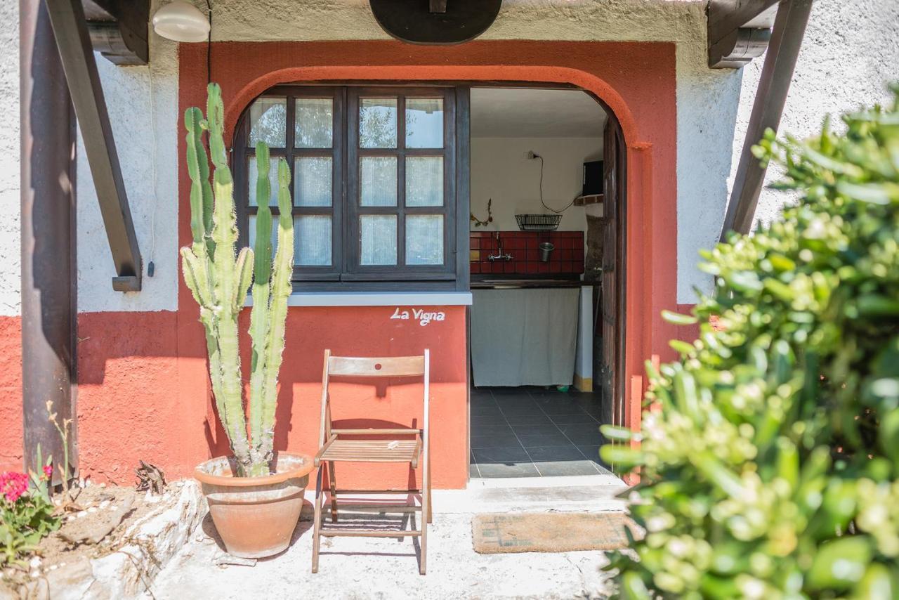 Bed and Breakfast La Fattoria Di Nonna Eugenia Lerici Zewnętrze zdjęcie