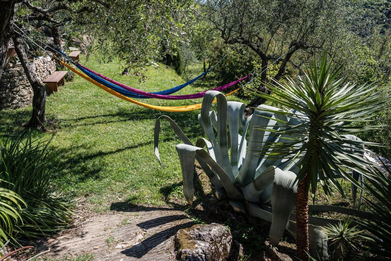 Bed and Breakfast La Fattoria Di Nonna Eugenia Lerici Zewnętrze zdjęcie