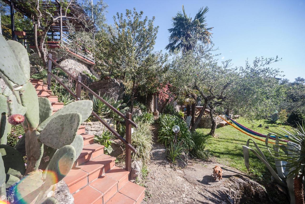 Bed and Breakfast La Fattoria Di Nonna Eugenia Lerici Zewnętrze zdjęcie
