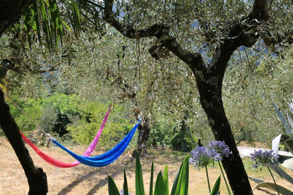 Bed and Breakfast La Fattoria Di Nonna Eugenia Lerici Zewnętrze zdjęcie