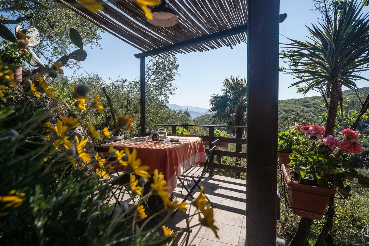Bed and Breakfast La Fattoria Di Nonna Eugenia Lerici Zewnętrze zdjęcie